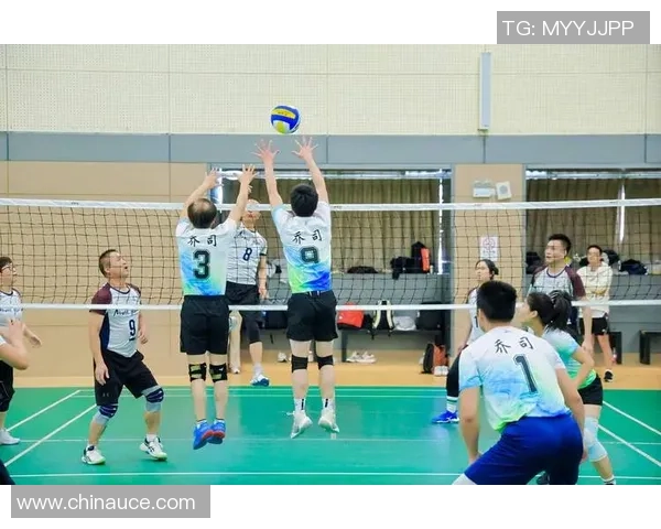 杭州排球队实力引发热议球迷观点分歧引关注