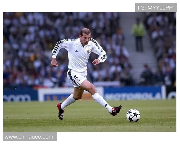 法国退役足球明星里揭示职业生涯背后的故事与人生哲学